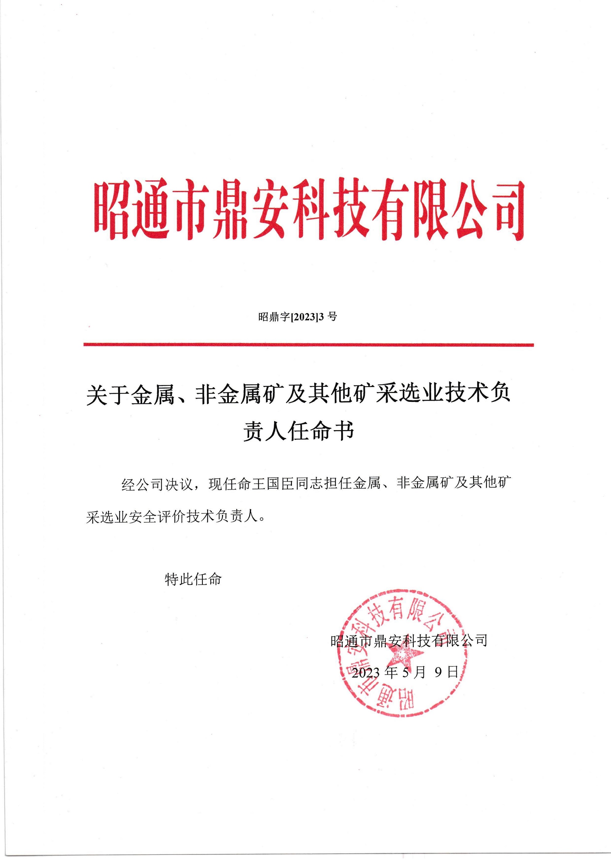 關于金屬、非金屬礦及其他礦采選業(yè)技術負責人任命書-王國臣_2.jpg